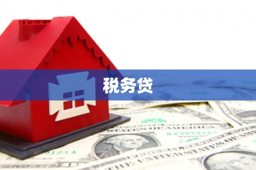 沂水税务贷