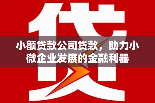 沂水小额贷款公司贷款，助力小微企业发展的金融利器