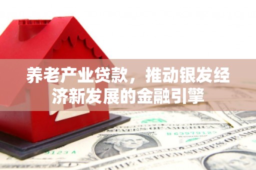 沂水养老产业贷款，推动银发经济新发展的金融引擎
