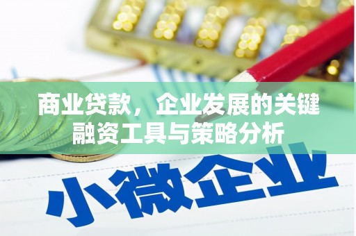 沂水商业贷款，企业发展的关键融资工具与策略分析