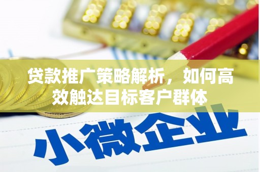 沂水贷款推广策略解析，如何高效触达目标客户群体
