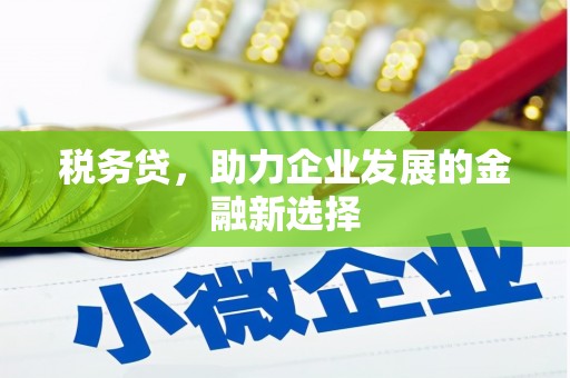 沂水税务贷，助力企业发展的金融新选择