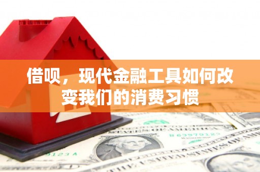 沂水借呗，现代金融工具如何改变我们的消费习惯