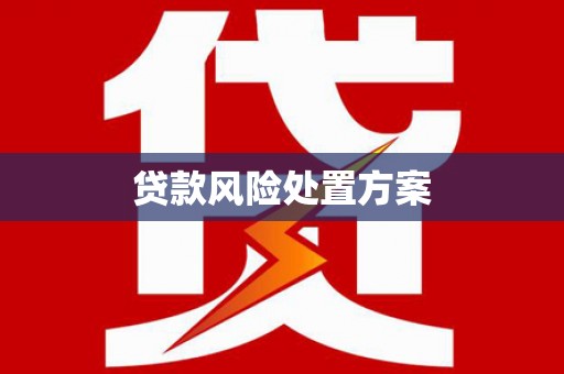 沂水贷款风险处置方案