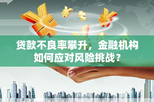 沂水贷款不良率攀升，金融机构如何应对风险挑战？