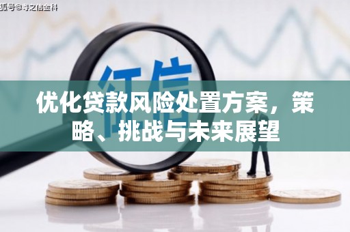 沂水优化贷款风险处置方案，策略、挑战与未来展望