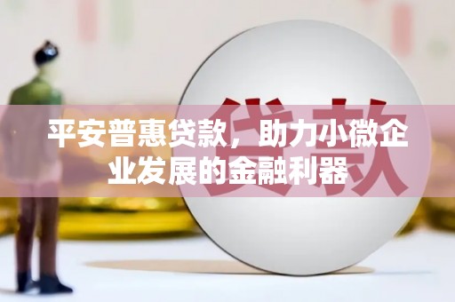 沂水平安普惠贷款，助力小微企业发展的金融利器