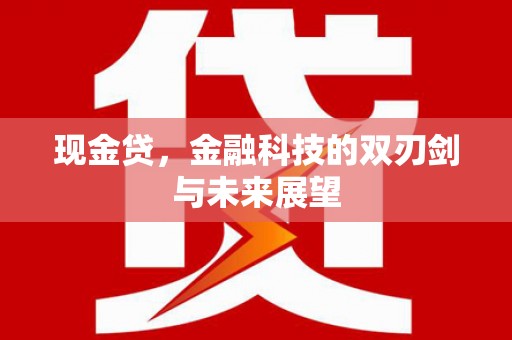 沂水现金贷，金融科技的双刃剑与未来展望