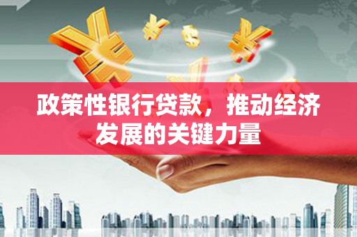 沂水政策性银行贷款，推动经济发展的关键力量