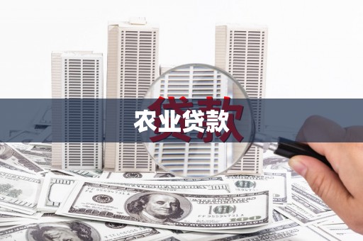 沂水农业贷款