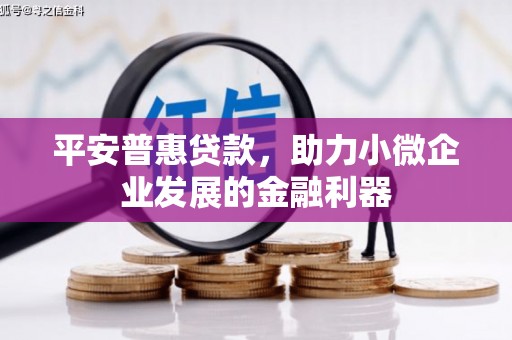 沂水平安普惠贷款，助力小微企业发展的金融利器