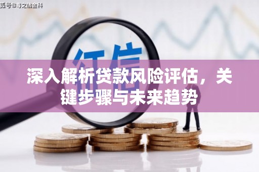 沂水深入解析贷款风险评估，关键步骤与未来趋势