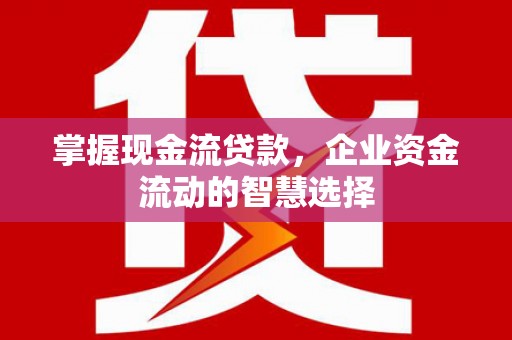 沂水掌握现金流贷款，企业资金流动的智慧选择