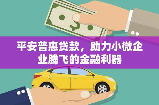 沂水平安普惠贷款，助力小微企业腾飞的金融利器