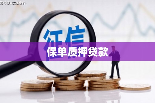 沂水保单质押贷款