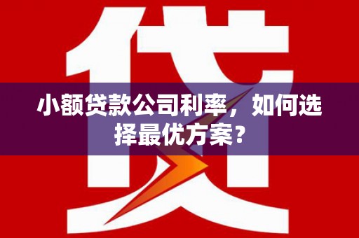沂水小额贷款公司利率，如何选择最优方案？