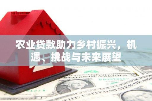 沂水农业贷款助力乡村振兴，机遇、挑战与未来展望