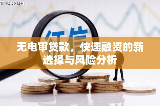 沂水无电审贷款，快速融资的新选择与风险分析