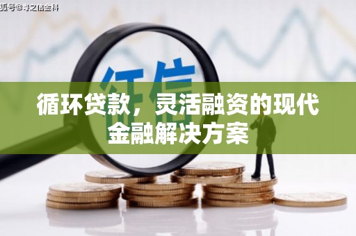 沂水循环贷款，灵活融资的现代金融解决方案