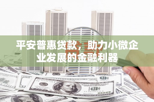 沂水平安普惠贷款，助力小微企业发展的金融利器