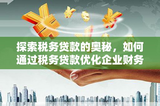 沂水探索税务贷款的奥秘，如何通过税务贷款优化企业财务