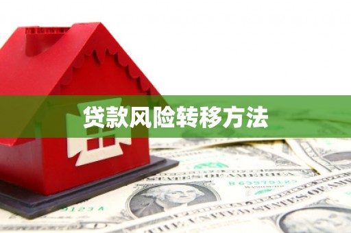 沂水贷款风险转移方法
