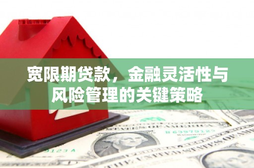 沂水宽限期贷款，金融灵活性与风险管理的关键策略