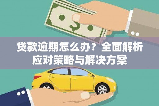 沂水贷款逾期怎么办？全面解析应对策略与解决方案