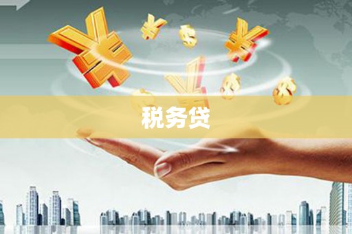 沂水税务贷