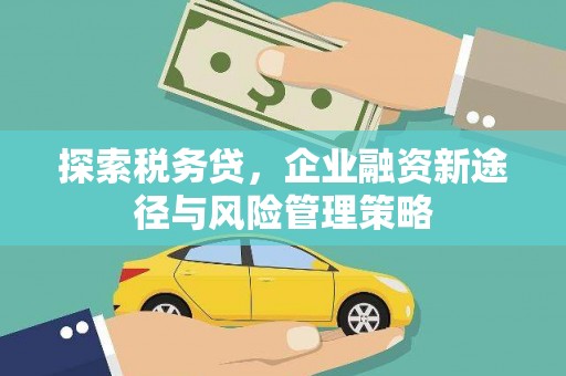沂水探索税务贷，企业融资新途径与风险管理策略