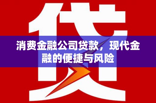 沂水消费金融公司贷款，现代金融的便捷与风险