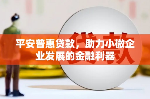 沂水平安普惠贷款，助力小微企业发展的金融利器