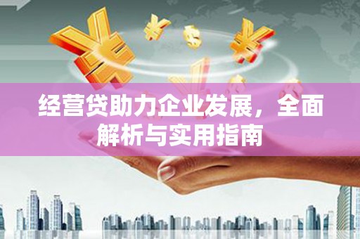 沂水经营贷助力企业发展，全面解析与实用指南