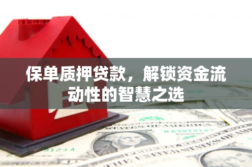 沂水保单质押贷款，解锁资金流动性的智慧之选