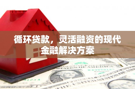 沂水循环贷款，灵活融资的现代金融解决方案