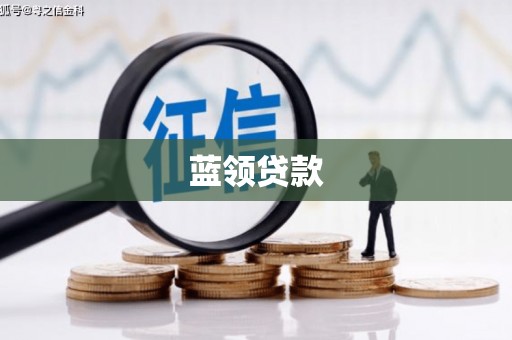 沂水蓝领贷款