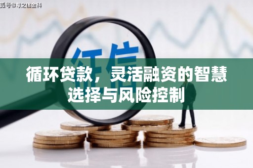 沂水循环贷款，灵活融资的智慧选择与风险控制