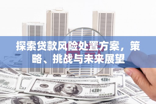 沂水探索贷款风险处置方案，策略、挑战与未来展望