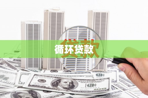 沂水循环贷款
