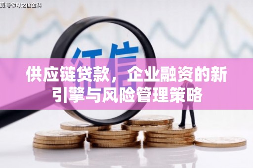 沂水供应链贷款，企业融资的新引擎与风险管理策略
