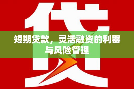 沂水短期贷款，灵活融资的利器与风险管理