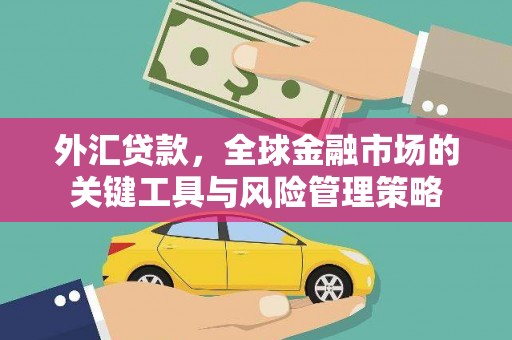 沂水外汇贷款，全球金融市场的关键工具与风险管理策略