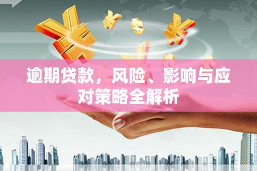 沂水逾期贷款，风险、影响与应对策略全解析