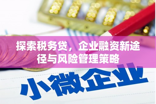沂水探索税务贷，企业融资新途径与风险管理策略