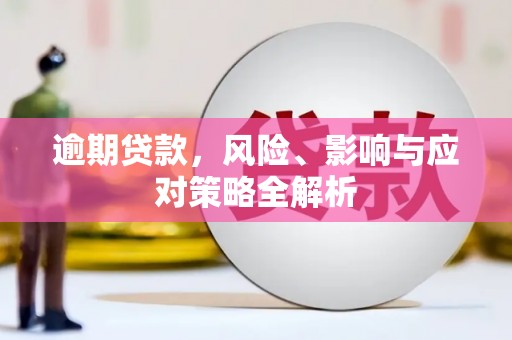 沂水逾期贷款，风险、影响与应对策略全解析