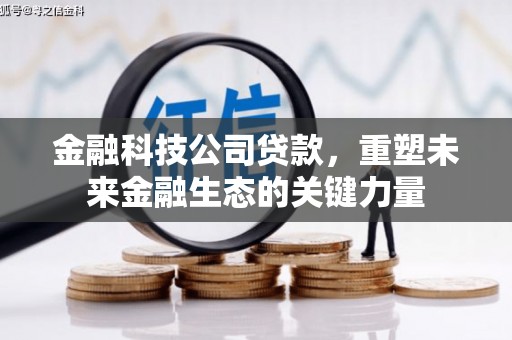 沂水金融科技公司贷款，重塑未来金融生态的关键力量