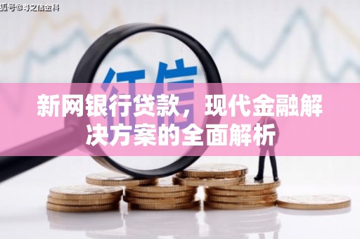 沂水新网银行贷款，现代金融解决方案的全面解析