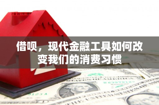 沂水借呗，现代金融工具如何改变我们的消费习惯