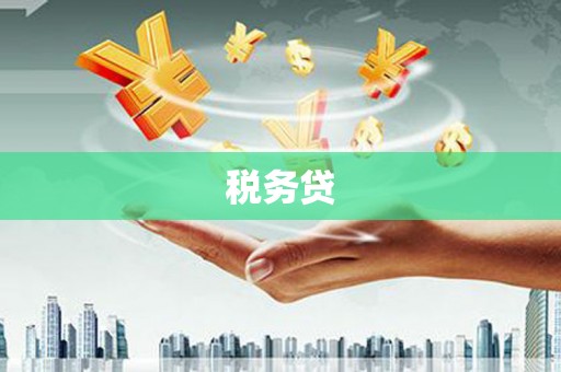 沂水税务贷