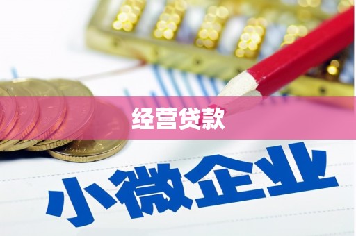 沂水经营贷款